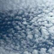 ヒメ日記 2025/07/09 14:09 投稿 じゅん ニューヨーカー