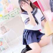 ヒメ日記 2025/06/29 00:07 投稿 ネモフィラ 飾窓