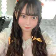 ヒメ日記 2025/06/29 05:35 投稿 ネモフィラ 飾窓