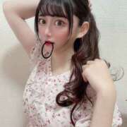 ヒメ日記 2025/06/30 11:45 投稿 ネモフィラ 飾窓