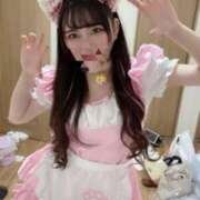 ヒメ日記 2025/07/05 10:57 投稿 ネモフィラ 飾窓