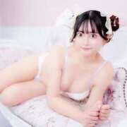 ヒメ日記 2025/07/07 09:49 投稿 ネモフィラ 飾窓