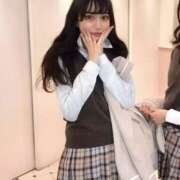 ヒメ日記 2025/07/14 09:09 投稿 ネモフィラ 飾窓