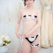 ヒメ日記 2025/07/15 07:53 投稿 ネモフィラ 飾窓