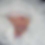 ヒメ日記 2025/07/15 08:03 投稿 ネモフィラ 飾窓