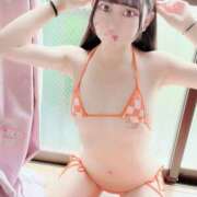 ヒメ日記 2025/07/19 09:59 投稿 ネモフィラ 飾窓