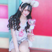 ヒメ日記 2025/07/20 11:49 投稿 ネモフィラ 飾窓