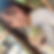 ヒメ日記 2025/08/04 14:52 投稿 ネモフィラ 飾窓