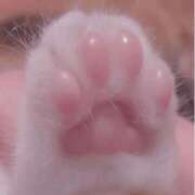 ヒメ日記 2025/12/13 15:16 投稿 天野さら ウルトラブレイズ