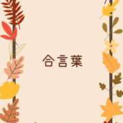 ヒメ日記 2025/10/06 10:18 投稿 徳井すず 恋する妻たち