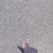 ヒメ日記 2025/11/02 10:47 投稿 徳井すず 恋する妻たち