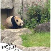 ヒメ日記 2025/12/31 21:48 投稿 徳井すず 恋する妻たち