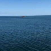 ヒメ日記 2025/07/21 07:56 投稿 くおん 完熟ばなな神戸・三宮店