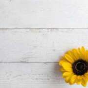 ヒメ日記 2025/07/24 22:32 投稿 くおん 完熟ばなな神戸・三宮店