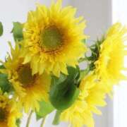 ヒメ日記 2025/08/02 11:17 投稿 くおん 完熟ばなな神戸・三宮店