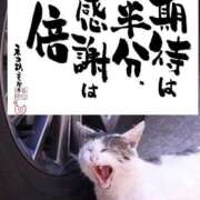 ヒメ日記 2025/08/14 10:00 投稿 くおん 完熟ばなな神戸・三宮店