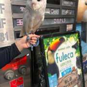 ヒメ日記 2025/09/08 14:48 投稿 くおん 完熟ばなな神戸・三宮店