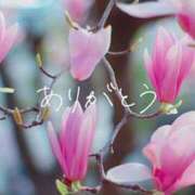 ヒメ日記 2025/09/11 00:44 投稿 くおん 完熟ばなな神戸・三宮店