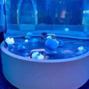 ヒメ日記 2025/09/29 11:23 投稿 くおん 完熟ばなな神戸・三宮店