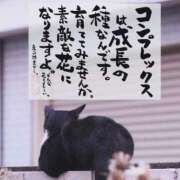 ヒメ日記 2025/10/09 13:30 投稿 くおん 完熟ばなな神戸・三宮店