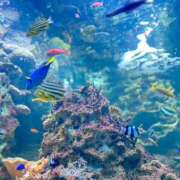 ヒメ日記 2025/10/10 12:01 投稿 くおん 完熟ばなな神戸・三宮店