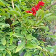 ヒメ日記 2025/10/21 15:47 投稿 くおん 完熟ばなな神戸・三宮店