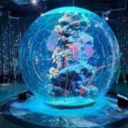 ヒメ日記 2025/10/27 15:40 投稿 くおん 完熟ばなな神戸・三宮店