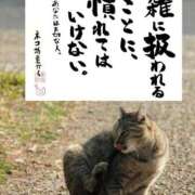 ヒメ日記 2025/10/30 11:31 投稿 くおん 完熟ばなな神戸・三宮店