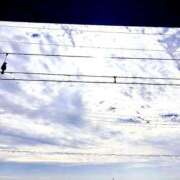 ヒメ日記 2025/11/12 12:37 投稿 くおん 完熟ばなな神戸・三宮店