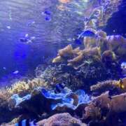 ヒメ日記 2025/11/30 10:40 投稿 くおん 完熟ばなな神戸・三宮店