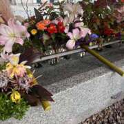 ヒメ日記 2025/12/01 14:49 投稿 くおん 完熟ばなな神戸・三宮店