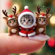 ヒメ日記 2025/12/23 10:10 投稿 くおん 完熟ばなな神戸・三宮店