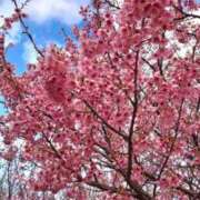 ヒメ日記 2026/02/01 10:59 投稿 くおん 完熟ばなな神戸・三宮店