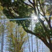 ヒメ日記 2026/02/19 19:38 投稿 くおん 完熟ばなな神戸・三宮店