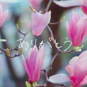 ヒメ日記 2026/03/07 00:11 投稿 くおん 完熟ばなな神戸・三宮店