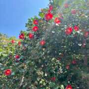 ヒメ日記 2026/03/28 14:47 投稿 くおん 完熟ばなな神戸・三宮店