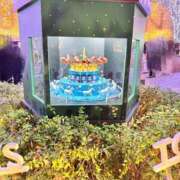 あゆむ 12月… 熟女の風俗最終章 立川店