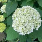 ヒメ日記 2025/06/10 08:33 投稿 瀬戸(せと) 八王子人妻城