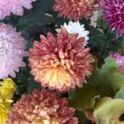 ヒメ日記 2025/06/19 09:27 投稿 瀬戸(せと) 八王子人妻城