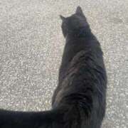 ヒメ日記 2025/06/21 12:18 投稿 瀬戸(せと) 八王子人妻城