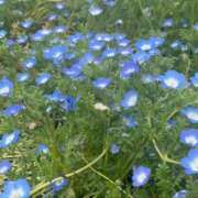 ヒメ日記 2025/07/05 18:18 投稿 瀬戸(せと) 八王子人妻城