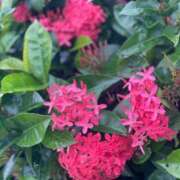 ヒメ日記 2025/07/12 17:42 投稿 瀬戸(せと) 八王子人妻城