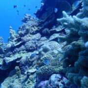 ヒメ日記 2025/09/12 21:00 投稿 瀬戸(せと) 八王子人妻城