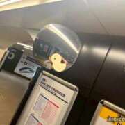 ヒメ日記 2025/06/18 00:50 投稿 篠原真凛(しのはらまりん) 鶯谷ナンバーワン