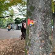 ヒメ日記 2025/11/27 23:50 投稿 篠原真凛(しのはらまりん) 鶯谷ナンバーワン