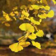 篠原真凛(しのはらまりん) 🌙* :ﾟ 鶯谷ナンバーワン