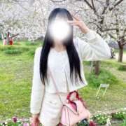 桃華～もか～ 花より男子💗 ドMな奥様 大阪本店