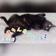 ヒメ日記 2025/10/06 22:46 投稿 来栖えま セレブ Rex