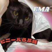 来栖えま 本日から🦖 セレブ Rex