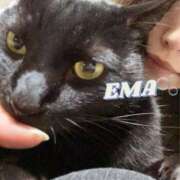 来栖えま 🐈🐾 セレブ Rex